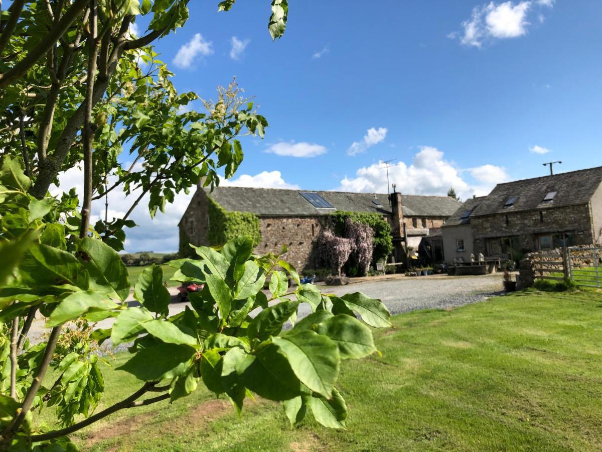 Crake Trees Manor Bed & Breakfast Crosby Ravensworth Eksteriør bilde